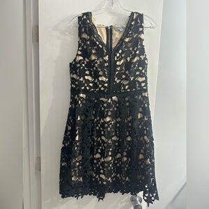 She + Sky Black Lace Overlay Mini Dress